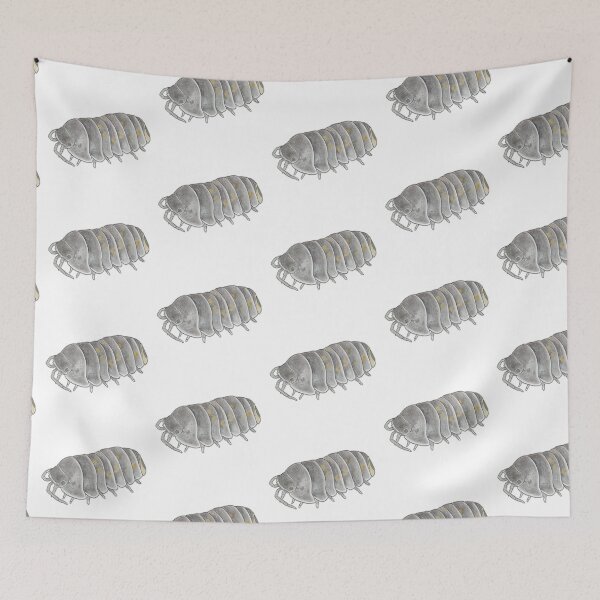 Item preview, Armadillidium sp. orange stripe Sicily  designed and sold by Postablepods.