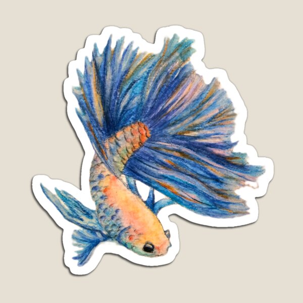 Item preview, Pez Betta de aleta azul designed and sold by ClearNight.