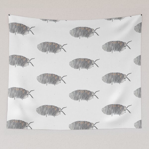 Item preview, Cubaris sp. Ammonia designed and sold by Postablepods.