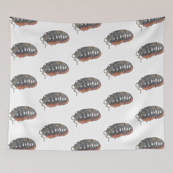 Item preview, Armadillidium klugii designed and sold by Postablepods.