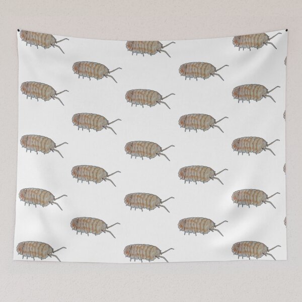 Item preview, Armadillidium nasatum peach designed and sold by Postablepods.