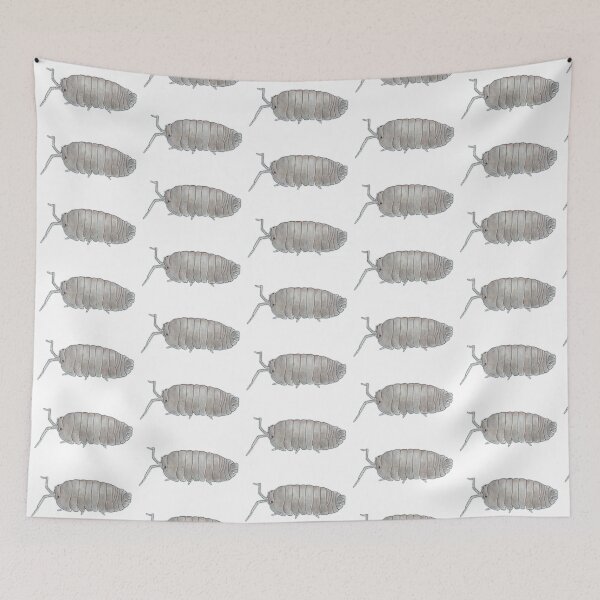 Item preview, Armadillidium pallasii  designed and sold by Postablepods.