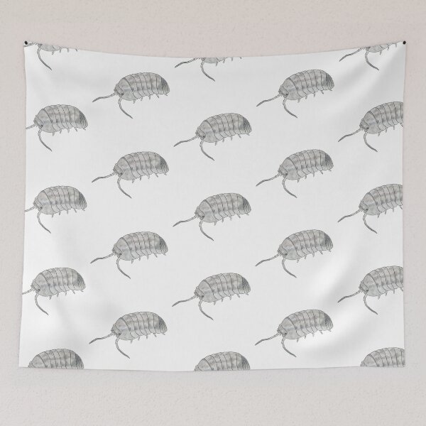Item preview, Armadillidium perraccae designed and sold by Postablepods.