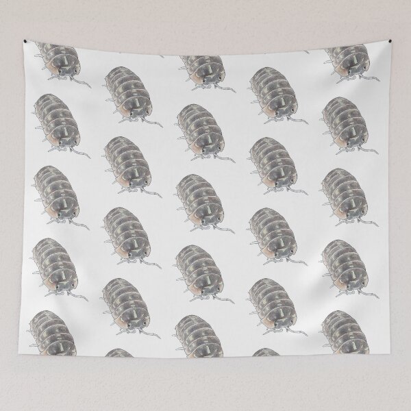 Item preview, Armadillidium versicolor designed and sold by Postablepods.