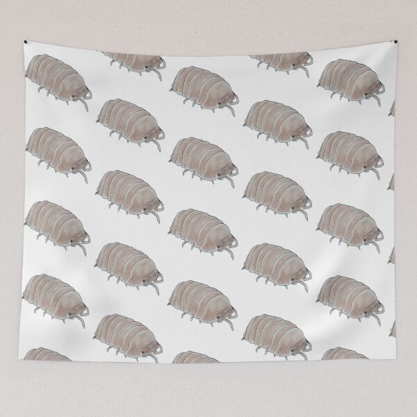 Item preview, Cubaris sp. Borneo designed and sold by Postablepods.