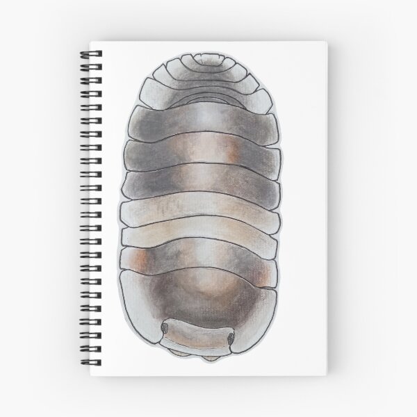 Item preview, Cubaris sp. Cappucino designed and sold by Postablepods.