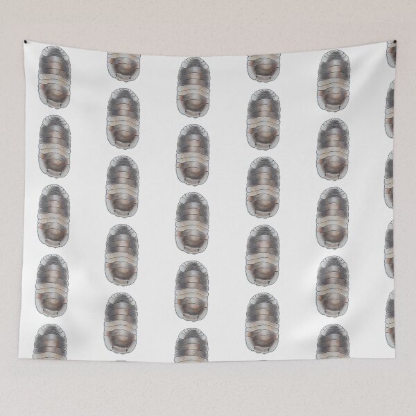 Item preview, Cubaris sp. Cappucino designed and sold by Postablepods.