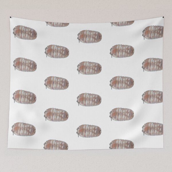 Item preview, Cubaris sp. Copper designed and sold by Postablepods.