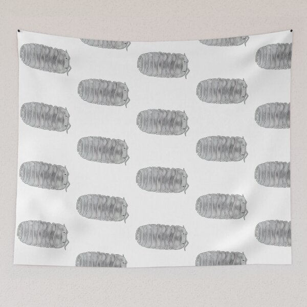Item preview, Cubaris sp. Diamond tiger designed and sold by Postablepods.