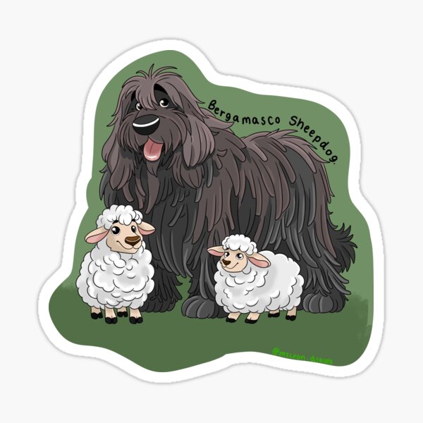 Artikel-Vorschau von Bergamasker Schäferhund, designt und verkauft von mrixondraws.