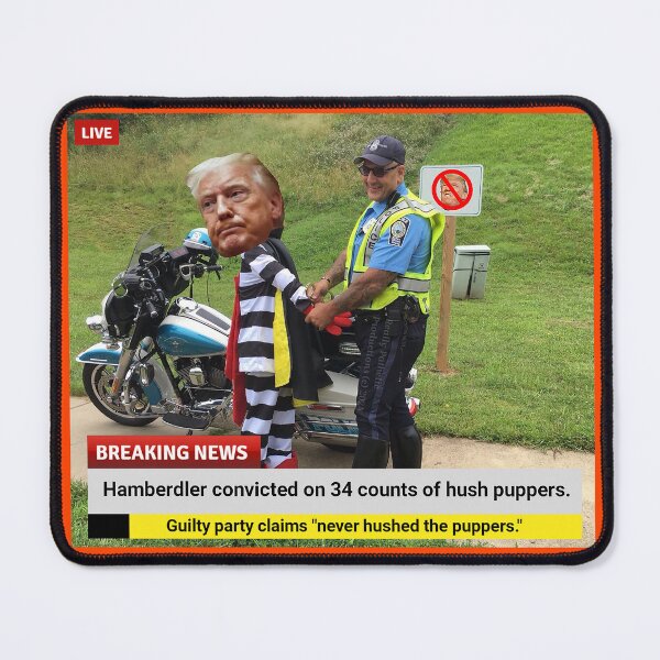 Item preview, The hamberder is 34 counts guilty designed and sold by reallypathetic.