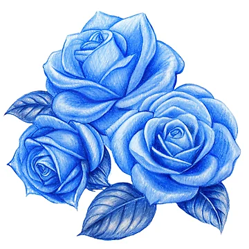 Artwork thumbnail, Blue Roses by GraphicsClub