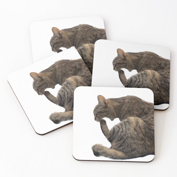 Item preview, Cat eating foot designed and sold by observation.