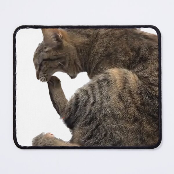 Item preview, Cat eating foot designed and sold by observation.