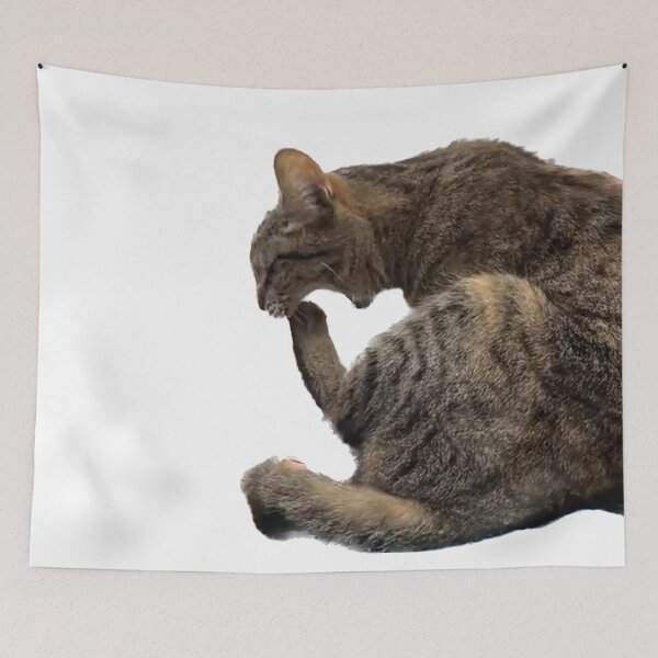 Item preview, Cat eating foot designed and sold by observation.