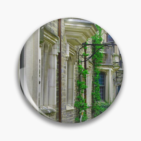 Item preview, Stately Lamps Ivy Growing on Stone Walls as Colorful Bicycles Line Historic Princeton University designed and sold by BradKnorrArt.