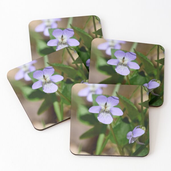 Item preview, Small beauty. Wood violet designed and sold by Jouko Lehto Photography.