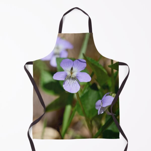 Item preview, Small beauty. Wood violet designed and sold by Jouko Lehto Photography.