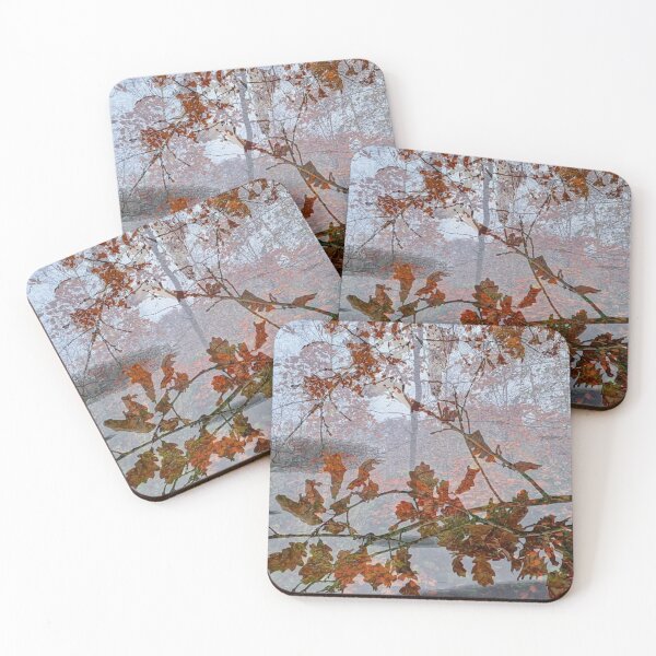 Item preview, Seasonal Transitions I designed and sold by dawnsm.