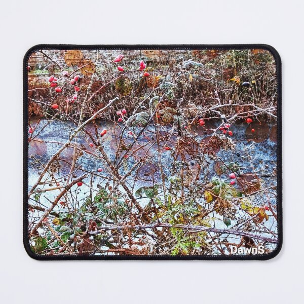 Item preview, Seasonal Transition III designed and sold by dawnsm.