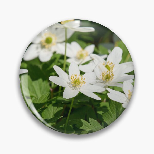 Item preview, The bush. Wood Anemone designed and sold by Jouko Lehto Photography.
