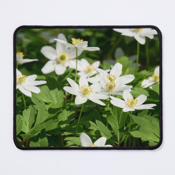 Item preview, The bush. Wood Anemone designed and sold by Jouko Lehto Photography.