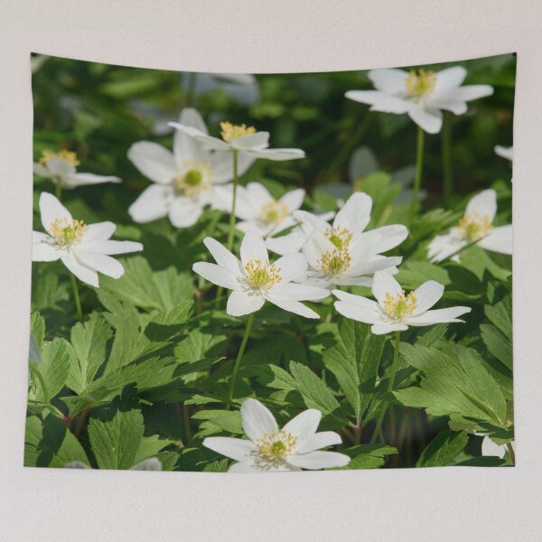 Item preview, The bush. Wood Anemone designed and sold by Jouko Lehto Photography.