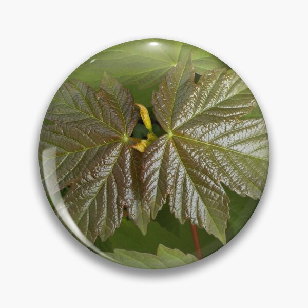 Item preview, New Sycamore Leaves designed and sold by lezvee.