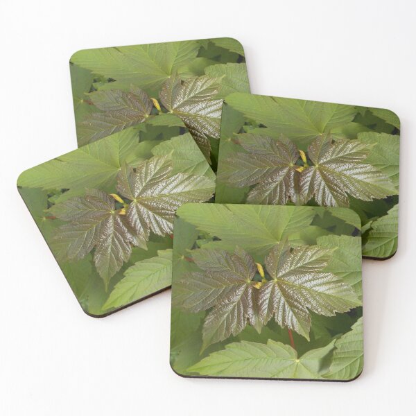 Item preview, New Sycamore Leaves designed and sold by lezvee.