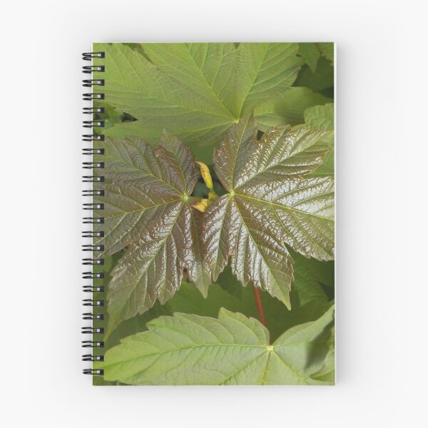 Item preview, New Sycamore Leaves designed and sold by lezvee.