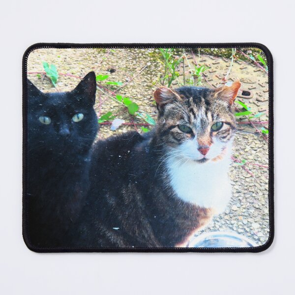 Item preview, Inseparable designed and sold by ART22.