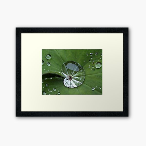 After the Rain Gerahmter Kunstdruck