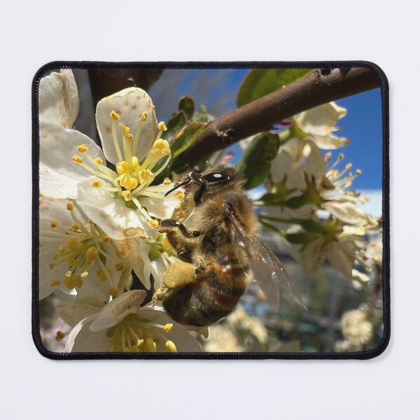 Item preview, Honeybee designed and sold by Betsy Phillips.