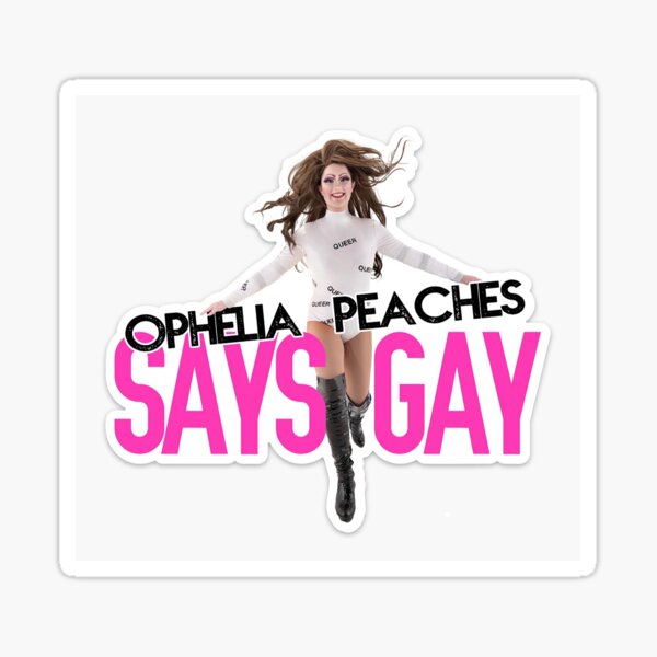 Say Gay Sticker