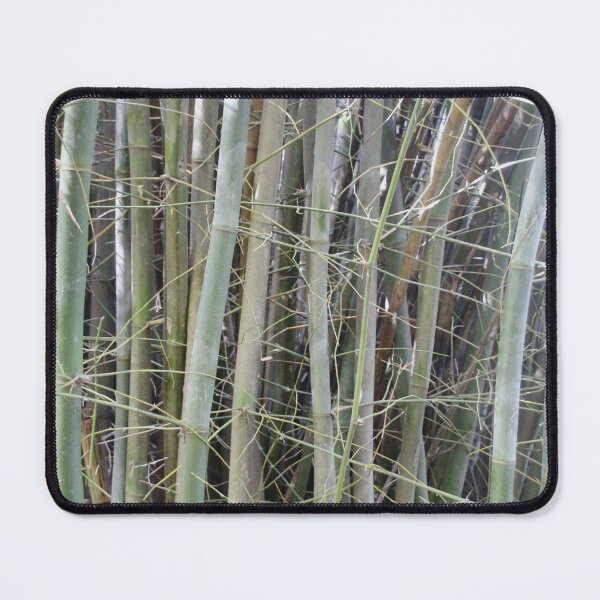 Item preview, Green Bamboo Stalks designed and sold by Designsbygroovy.