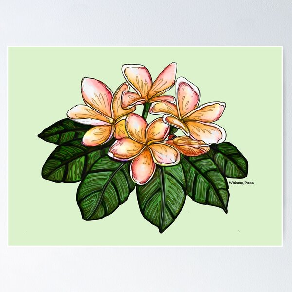 Artikelvorschau, Frangi entworfen und verkauft von Whimsy Pose Illustrations.