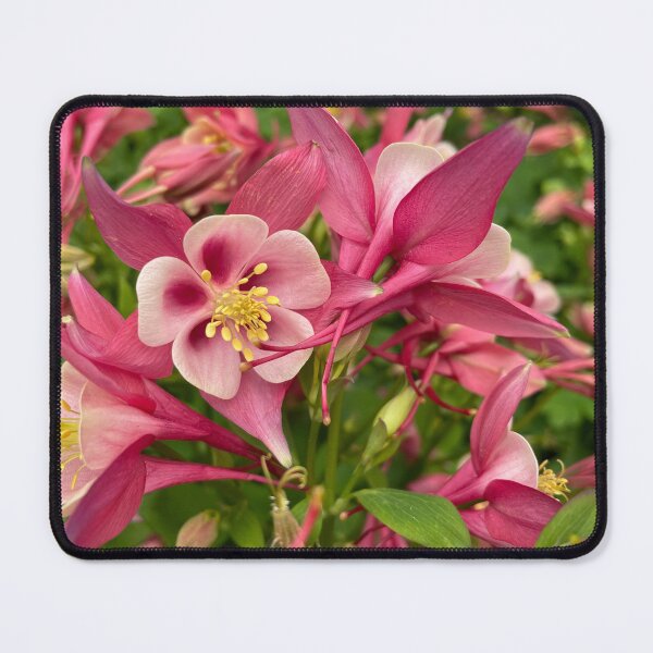 Item preview, free flora designed and sold by emma-c-prints.