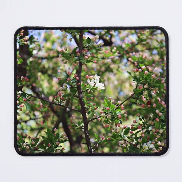 Item preview, Crabapple Pink Buds and White Flowers designed and sold by Martha Sherman.