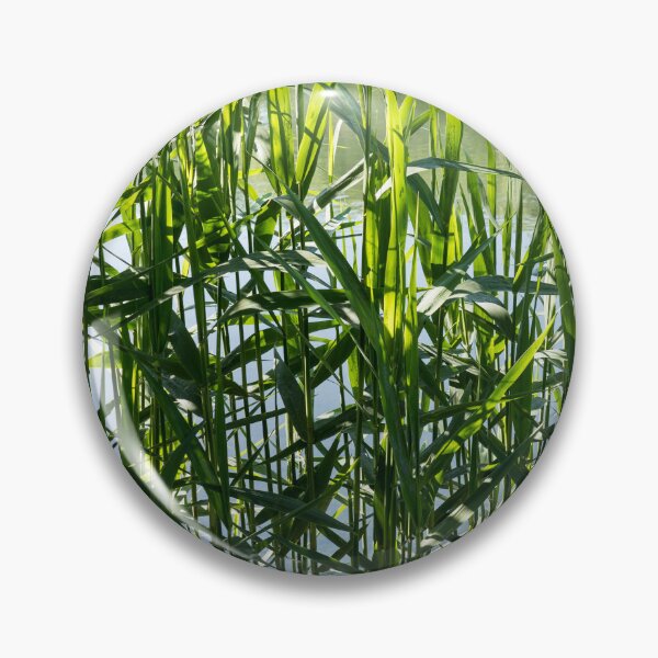 Item preview, Verdant Reeds Screening Tranquil Water designed and sold by Georgia Mizuleva.