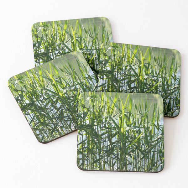 Item preview, Verdant Reeds Screening Tranquil Water designed and sold by Georgia Mizuleva.