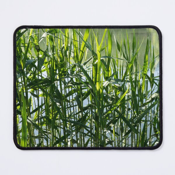 Item preview, Verdant Reeds Screening Tranquil Water designed and sold by Georgia Mizuleva.
