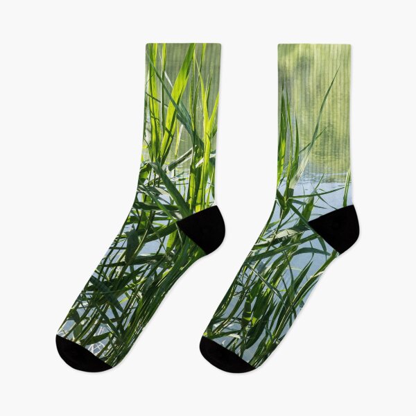 Item preview, Verdant Reeds Screening Tranquil Water designed and sold by Georgia Mizuleva.