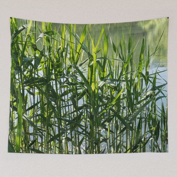 Item preview, Verdant Reeds Screening Tranquil Water designed and sold by Georgia Mizuleva.