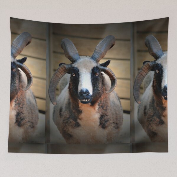 Item preview, Jacob Sheep designed and sold by Savannah Gibbs.