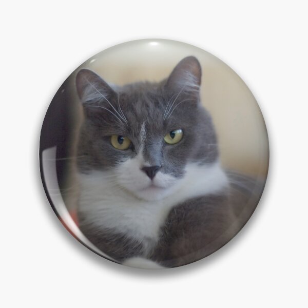 Item preview, PEACEFUL SULLY © Vicki Ferrari designed and sold by Vicki Ferrari Photography.