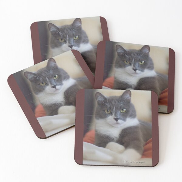 Item preview, PEACEFUL SULLY © Vicki Ferrari designed and sold by Vicki Ferrari Photography.