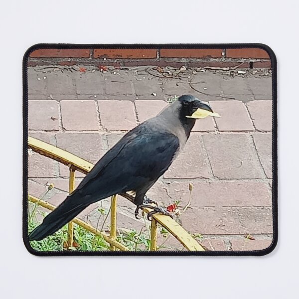 Item preview, Common Crow Dhaka designed and sold by suvashbarman.