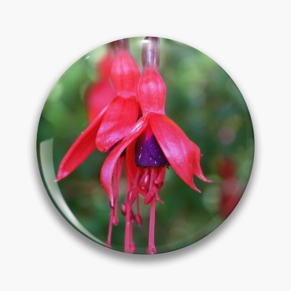 Artikelvorschau, Fuchsia Blume entworfen und verkauft von KathleenDawson.
