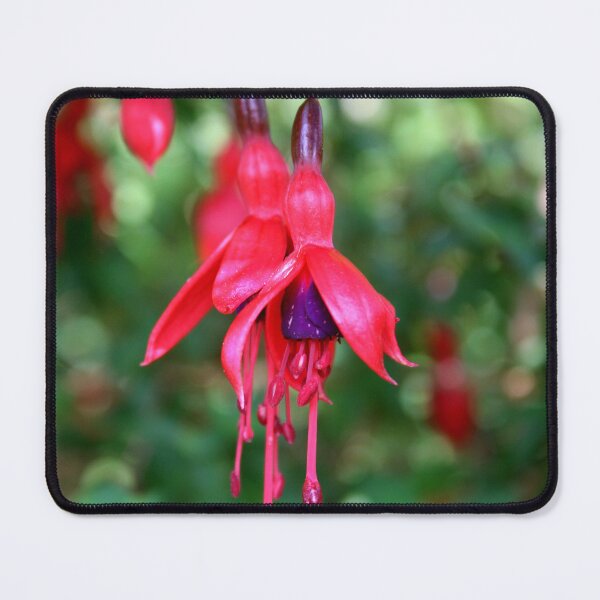 Item preview, fuchsia flower designed and sold by KathleenDawson.
