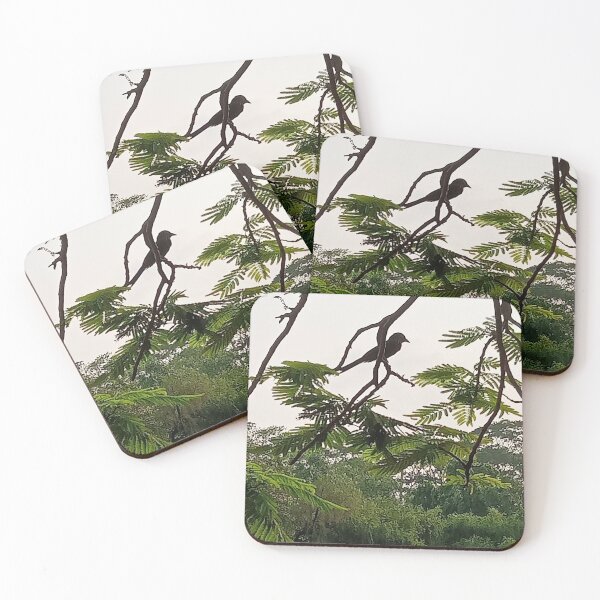 Item preview, Drongo Dhaka designed and sold by suvashbarman.